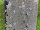 image of grave number 842409